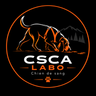 CSCA LABO
